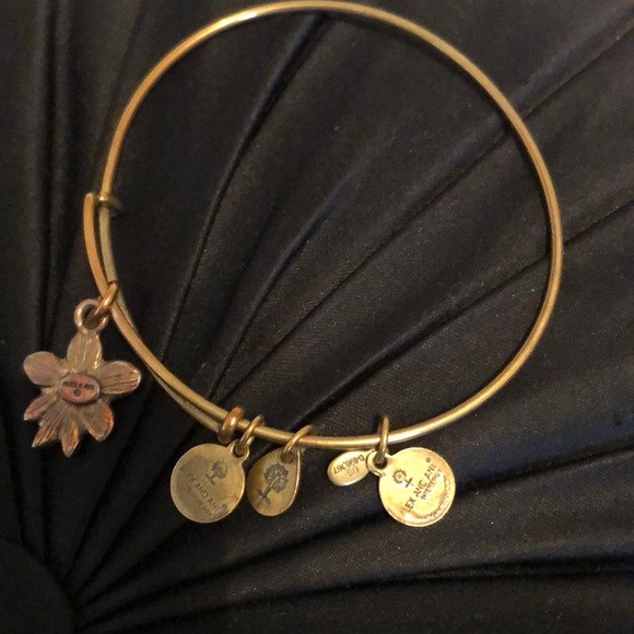 Alex and Ani Apple Blossom Charm Bracelet - Picture 4 of 4